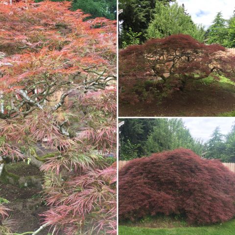 Image depicting the Service Plant Healthcare 