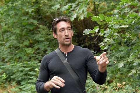 Image depicting the Service Tree Pruning Classes